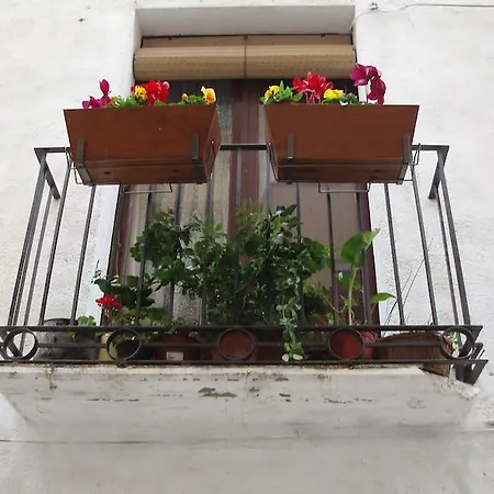 Casa rural La Llicorella Falset